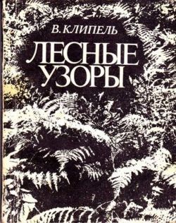 Владимир Клипель «Лесные узоры»
