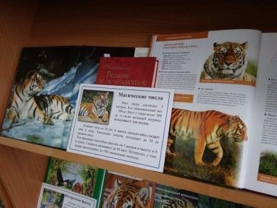 Книжная выставка «Путешествие в гости к тигру»