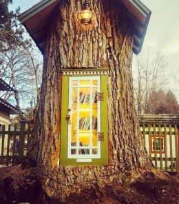 Библиотека в дереве