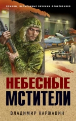 Владимир Каржавин «Небесные мстители»