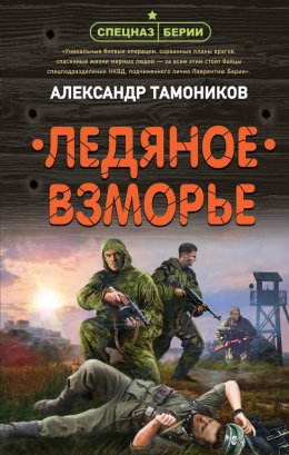 Александр Тамоников &laquo;Ледяное взморье&raquo;